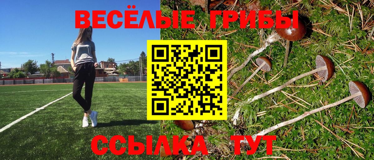 Кызыл  Псилоцибиновые грибы мицелий  Вход с VPN 